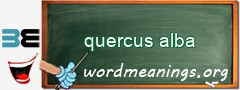 WordMeaning blackboard for quercus alba